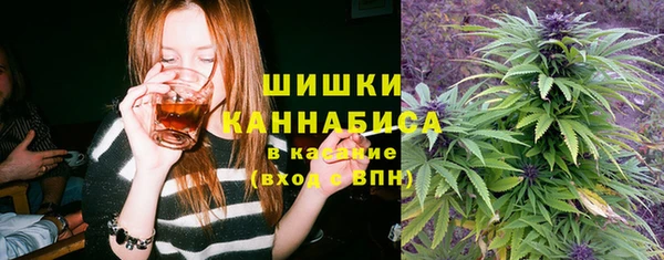 гидра Бородино