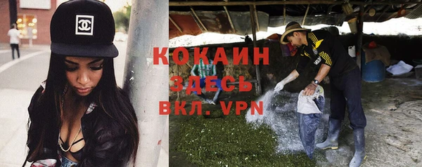 шишки Волоколамск