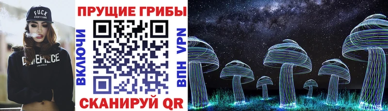 Псилоцибиновые грибы мухоморы  Касимов 