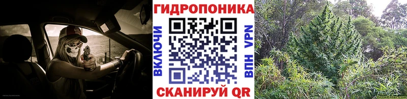 где продают   Касимов  omg tor  Шишки марихуана Bruce Banner 